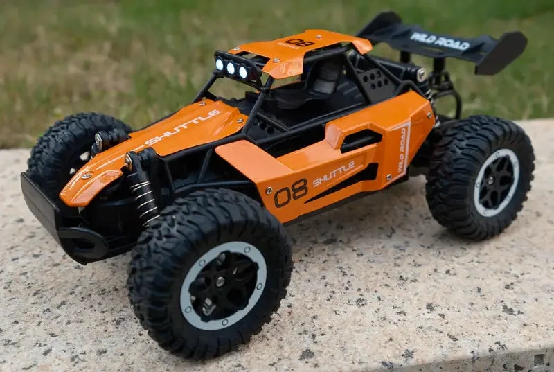 Voitures RC 1:16 Voiture tout-terrain télécommandée 2WD haute vitesse 20 km/h Tout-terrain Jouet électrique Voiture RC tout-terrain Camions