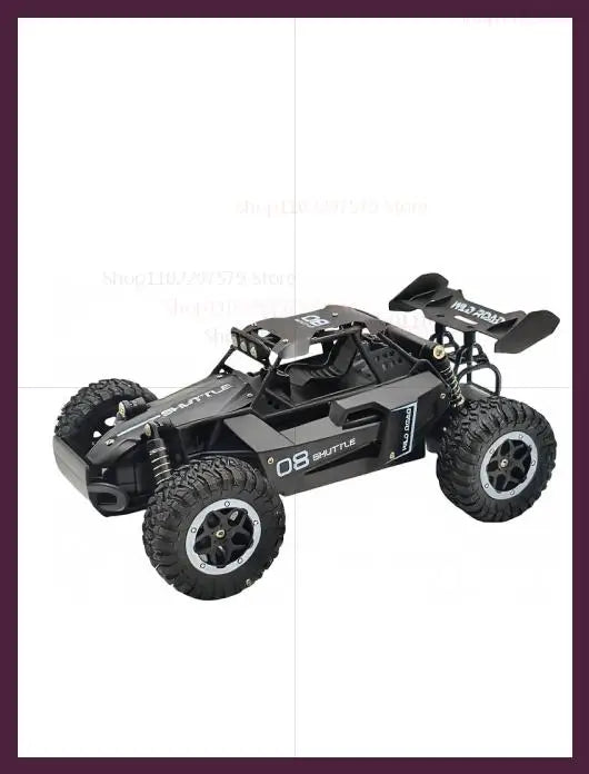 Voitures RC 1:16 Voiture tout-terrain télécommandée 2WD haute vitesse 20 km/h Tout-terrain Jouet électrique Voiture RC tout-terrain Camions